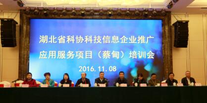 科技信息服務(wù)新篇章 2016年武漢蔡甸企業(yè)推廣應用項目培訓圓滿舉行